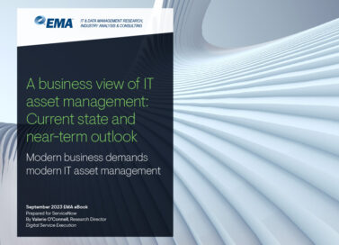 A business view of IT asset management: Current state and near-term outlook